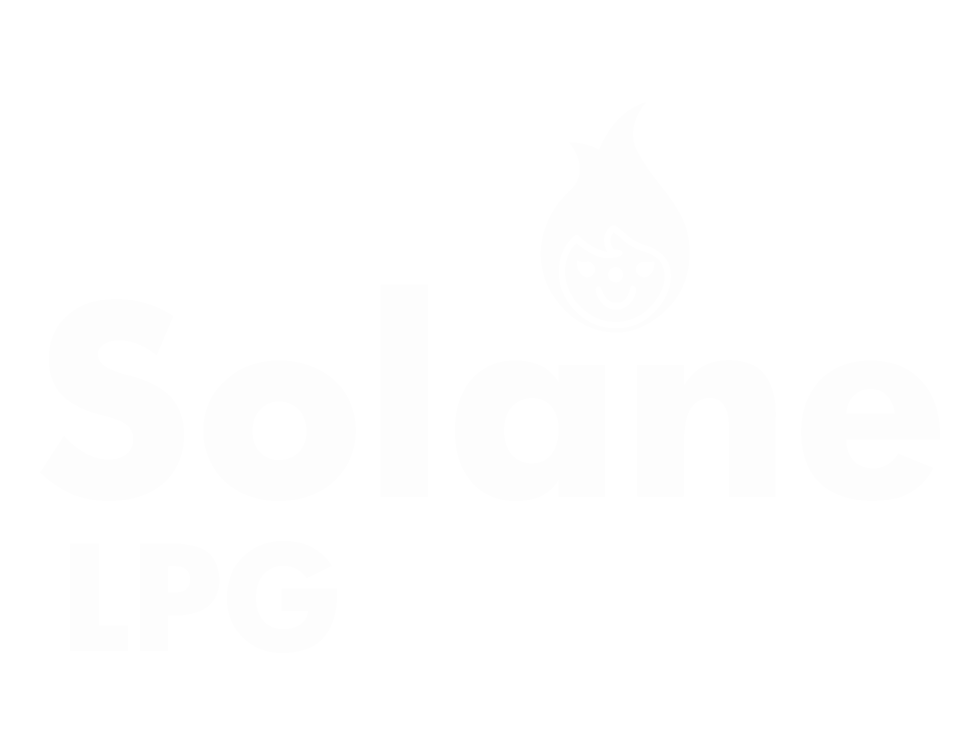 solane_logo